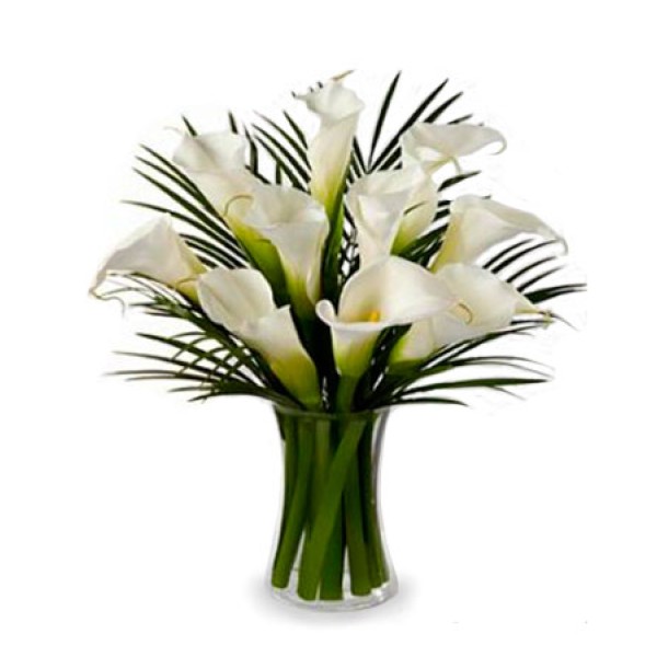 10 Stunning Calla Lilies