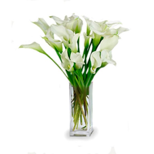 20 Stunning Calla Lilies