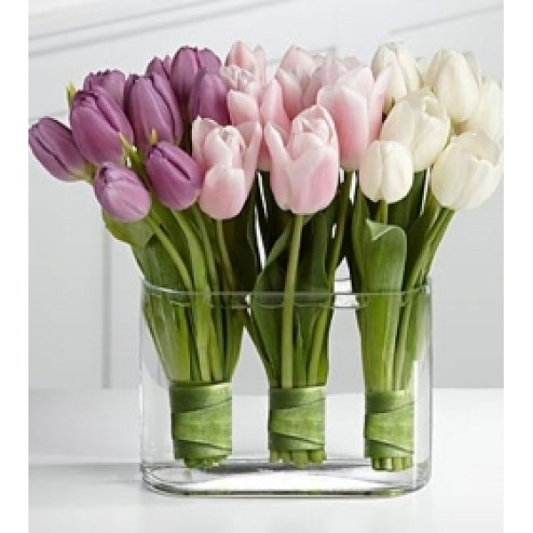 30 Tulips in a Vase